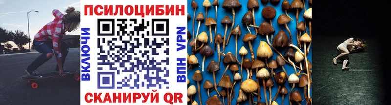 продажа наркотиков Тосно Галлюциногенные грибы MAGIC MUSHROOMS